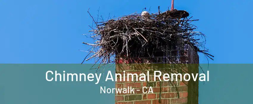 Chimney Animal Removal Norwalk - CA