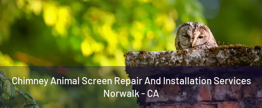 Chimney Animal Screen Repair And Installation Services Norwalk - CA