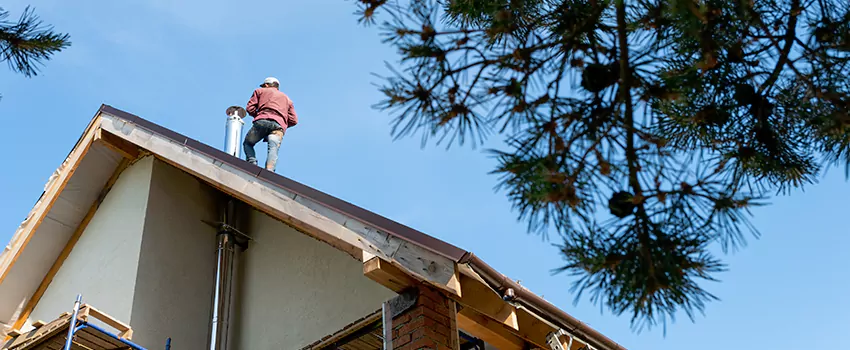 Birds Removal Contractors from Chimney in Norwalk, CA