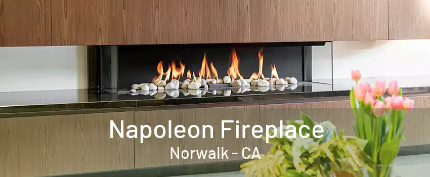 Napoleon Fireplace Norwalk - CA